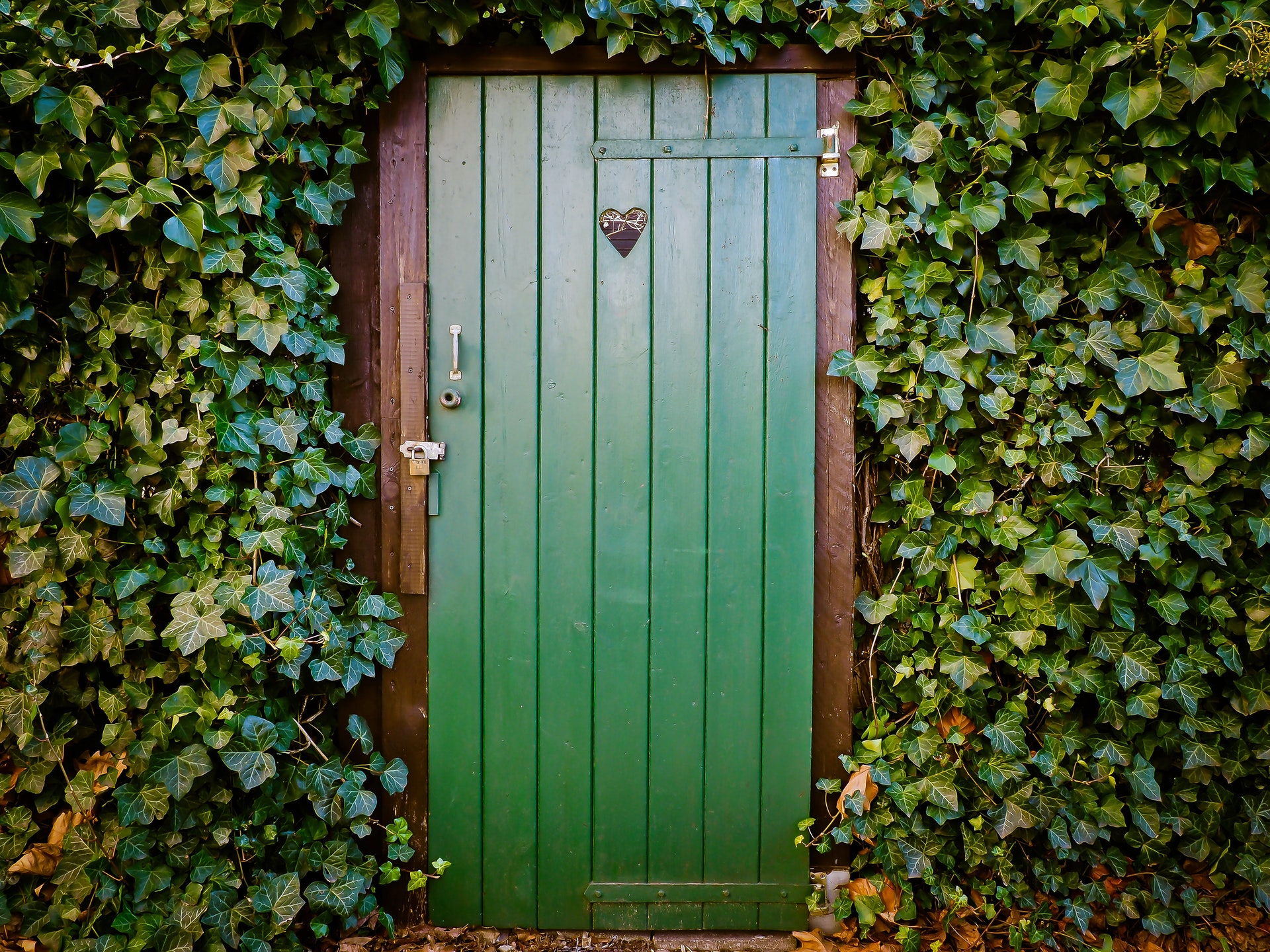 groen geverfde deur